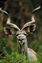 Photo: SA Tourism