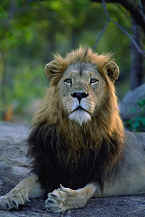Photo: SA Tourism