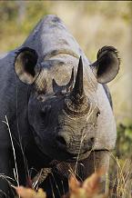 Photo: SA Tourism