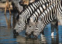 Photo: SA Tourism