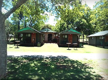 Tents on Stilts