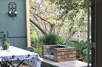 Braai